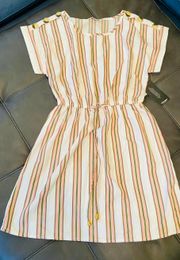 Striped Tunic / Dress 