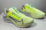 Nike Women's  Air Zoom Pegasus 38 FlyEase Sz 8