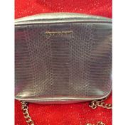 Victoria's Secret Silver Crossbody Purse Gold Chain Tassel Bag