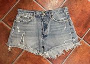 AGOLDE Blue Frayed Distressed Denim Shorts Size 29