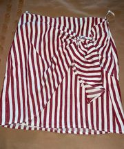 Stripe Skirt