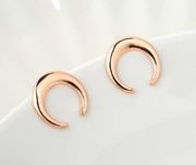 Rose Gold Crescent Moon Earrings