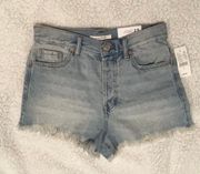 Vintage Distressed Highwaisted Shorts