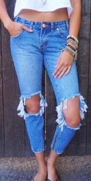 Freebirds Busted Knee Ripped Distressed Skinny Ankle Jeans