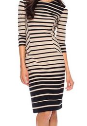 J. McLaughlin Black & Taupe Striped Catalyst Dress