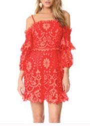 NWT Parker Irma Lace Dress In Tucan 2