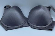 Vince Camuto size 36C push up bra in shimmering steel.