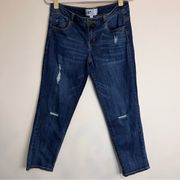 Jolt distressed jeans. Size 11