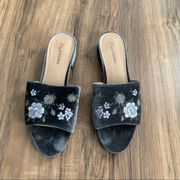 Zigi Soho Emalie Pewter Gray Velvet Embroidered Slide Slip On Size 9