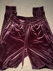 Velvet Joggers