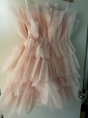 Francesca’s Pink Tulle Dress