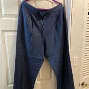 Jaclyn Smith Light Denim Pants sz XL