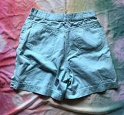 Vintage 90s  Seafoam Green Dad Shorts 🐬