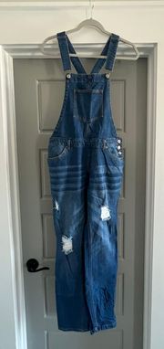 Boutique Denim Pant Overall