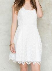 Jeannine White Lace Dress From Francesca’s