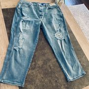 Arizona MOM JEAN HIGHEST-RISE SEMI-RELAXED FIT WITH TAPERED LEG