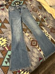 Willow And Root Flared Out Jeans