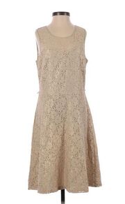 The Limited Gold Lace A-Line Dress Fit & Flare Sleeveless Midi Size 2 Small