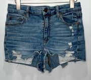 American Eagle  Super Stretch Curvy High Rise Shortie Shorts