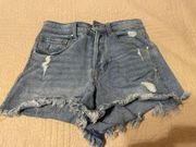 Indigo Rising Shorts