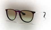 Ray-Ban Erika Sunglasses