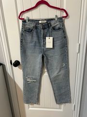 NWT Boutique Jeans