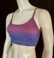 Champion C9 Purple Ombre Sports Bra (S)