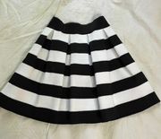 Black And White Pleated Skirt