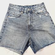 Dr. Denim Nora Short in Drift Mid Worn