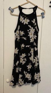 Coco + Carmen Women’s  Small Beautiful Black Alter Back Lily Printed Flare Dress