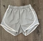 Dri-Fit Shorts