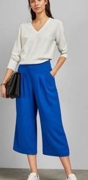 NWT Ted Baker London Zetta Pleated Culottes 4 (10) Blue