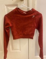 Seamless Long Sleeve Crop Top