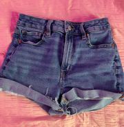 Outfitters Jean Shorts