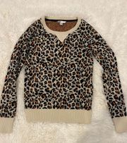 Leopard Sweater