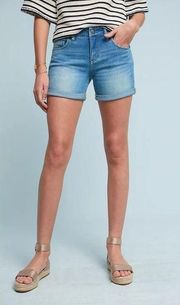 Pilcro and the Letterpress Stet Denim Shorts - Women's Size 29