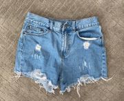 BDG Urban Outfitters Jean Shorts