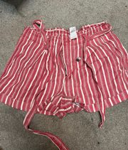 American Eagle Outfitters Shorts