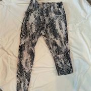 Evolution and creation active leggings