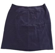 Chadwicks Skirt Womens Size 16 P Midnight Blue Zip A Line Midi Lined Pleated NEW