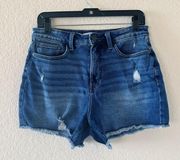 LC Lauren Conrad Shorts Size 10