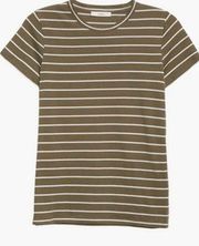 Essential Stripe Pima Cotton Crewneck Tee  Eden/ Off White L