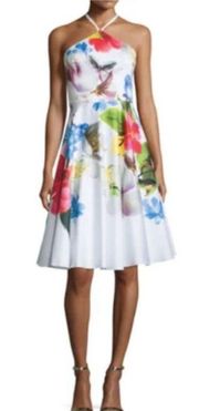 Ted Baker Corpina Floral Sleeveless Forget Me Not Halter Dress - Size 1