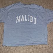 Brandy Melville light blue malibu oversized t-shirt, from