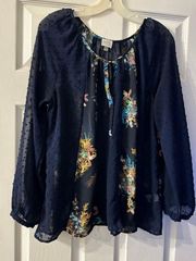 Sheer long sleeve blouse is a size Large.