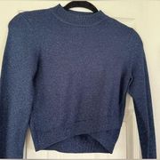 Express Navy Blue Cropped Long Sleeve Sparkle Glitter top Sweater Small Petite