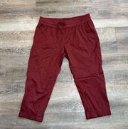 Women’s The North Face Cropped Burgundy Red Hiking Pants Size XL