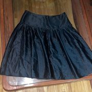 Express Pleated 100% SILK Flare Party Skirt.