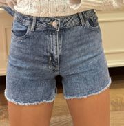 High Rise Denim Shorts