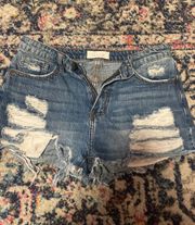 Denim High Waisted Jean Shorts